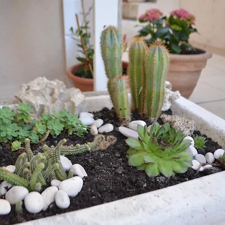 Jerko Apartment Primosten