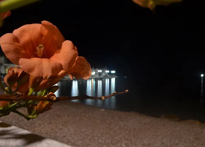 Апартаменты Jerko