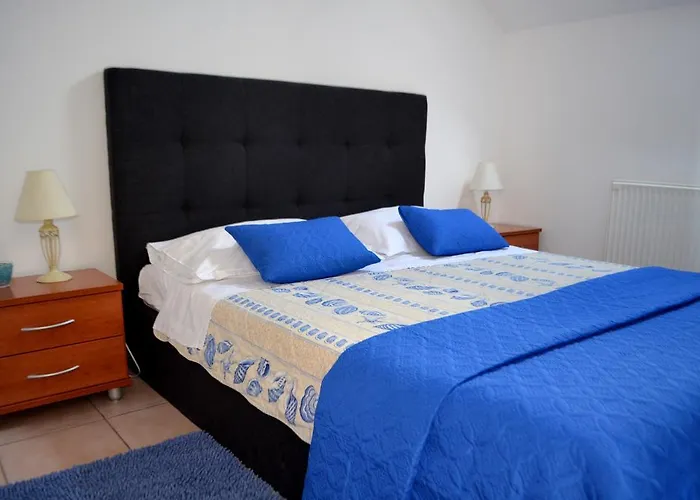 Jerko * 프리모스턴