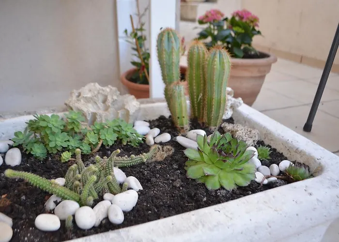 Jerko 아파트 프리모스턴